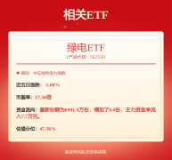 国投电力: 国投电力控股股份有限公司2024年度向