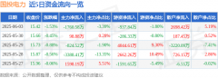 国投电力(600886)6月3日主力资金净卖出176058万元