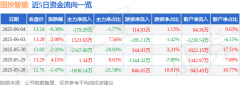 股票行情快报：国投智能（300188）6月4日主力资金