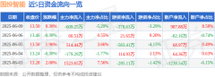 股票行情快报:国投智能(300188)6月9日主力资金