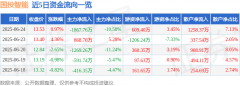 股票行情快报:国投智能(300188)6月24日主力资
