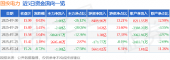股票行情快报:国投电力(600886)7月30日主力资
