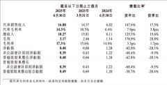 小鹏Q2财报飞起：营收暴涨125% 毛利率反超特斯拉