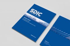 国投中鲁8月22日快速回调